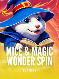 Mice & Magic Wonder Spin