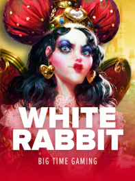 White Rabbit