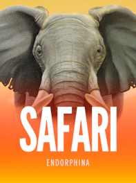 Safari