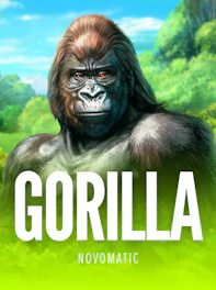 Gorilla