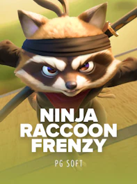 Ninja Raccoon Frenzy
