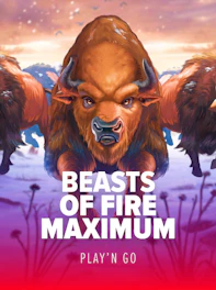  Beasts of Fire Maximum