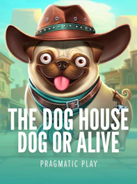 The Dog House - Dog or Alive