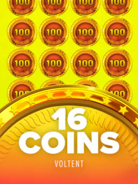 16 Coins