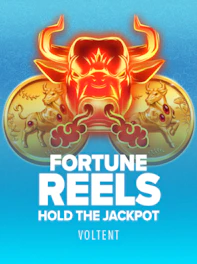 Fortune Reels